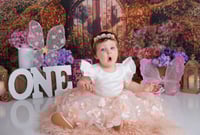 Image 13 of $100 off First Birthday  Cake Smash session