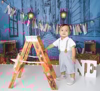 Image 6 of $100 off First Birthday  Cake Smash session