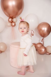 Image 16 of $100 off First Birthday  Cake Smash session