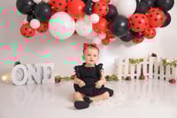 Image 17 of $100 off First Birthday  Cake Smash session