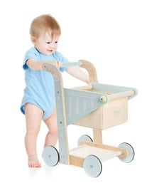 Image 2 of Bingham Shopping Cart Walker