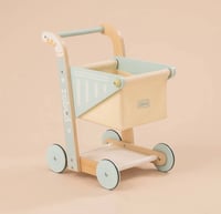 Image 4 of Bingham Shopping Cart Walker