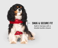 Image 3 of Harness Puffer Coat in Red - Canada Pooch 