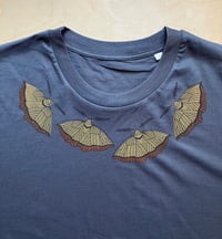 Image 4 of Dark Bordered Beauty Moth T-Shirt