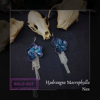 Image 1 of 🜧 Hydrangea Nox 🜧