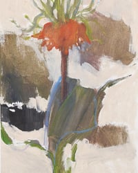 Image 2 of Fritillaria, 2024