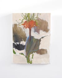 Image 1 of Fritillaria, 2024