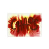 CHAOS Number 2