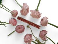 Image 8 of Walk With Panther collar