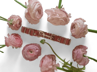 Image 6 of Walk With Panther collar