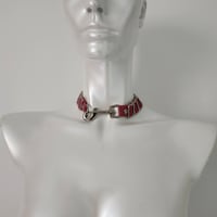 Image 3 of Walk With Panther collar