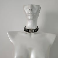 Image 1 of Walk With Panther collar