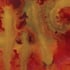 CHAOS Number 6 Image 3