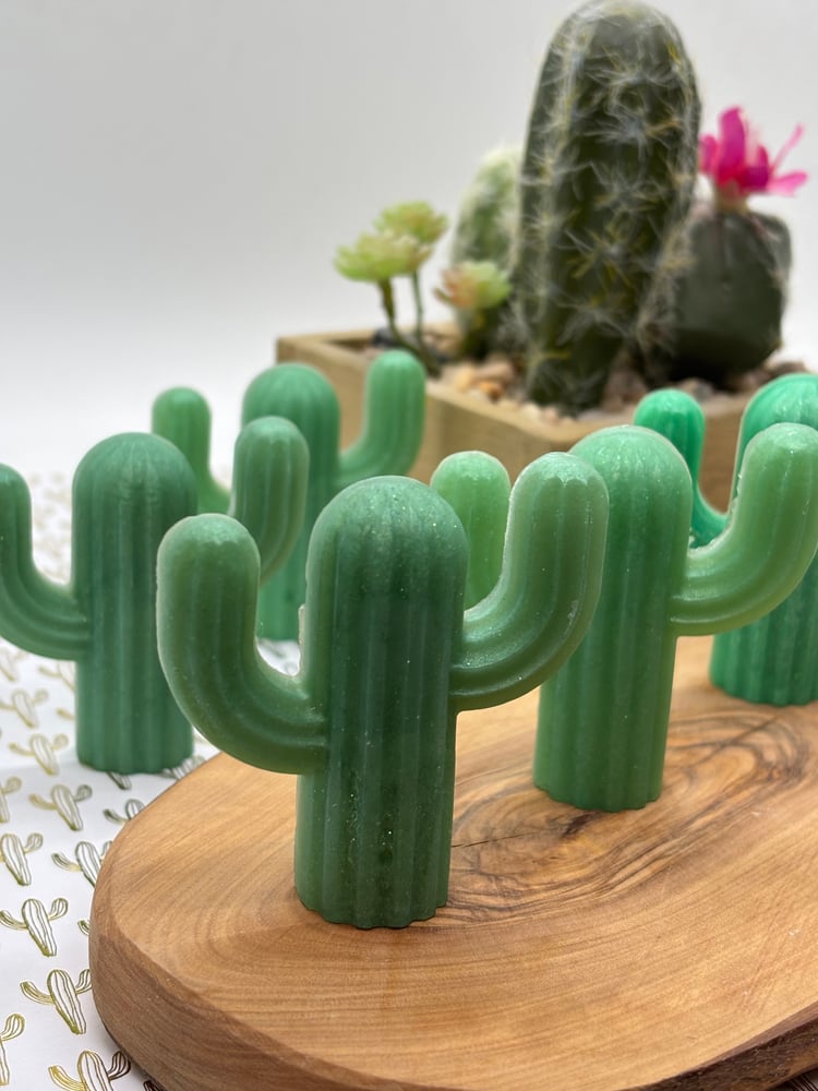 Image of Baja Cactus Blossom