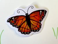 Image 1 of Butterfly Sticker