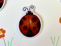 Image 1 of Ladybug Sticker