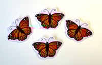 Image 3 of Butterfly Sticker