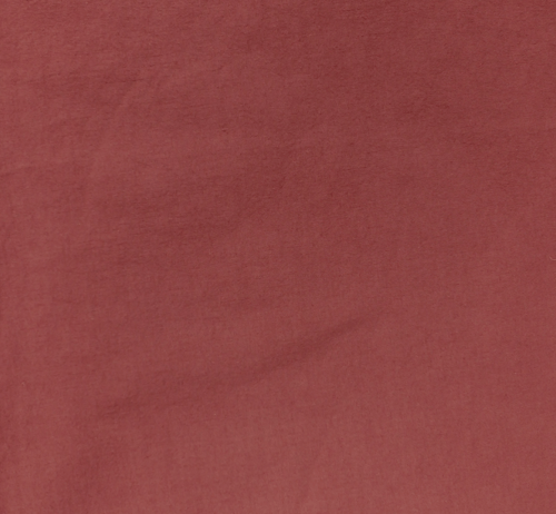 Image of Blacktop Pant (Rust)