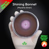 Shining Bonnet (Mycena Sinar) Live Mycelium Mushroom Culture Spawn