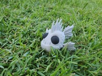 Image 1 of Moss Eater Fish