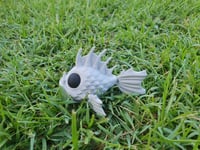 Image 3 of Moss Eater Fish
