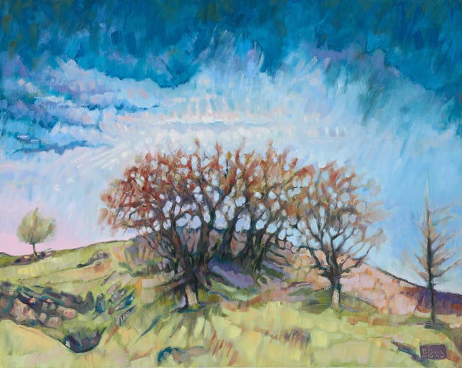 Trees Above Longshaw Estate