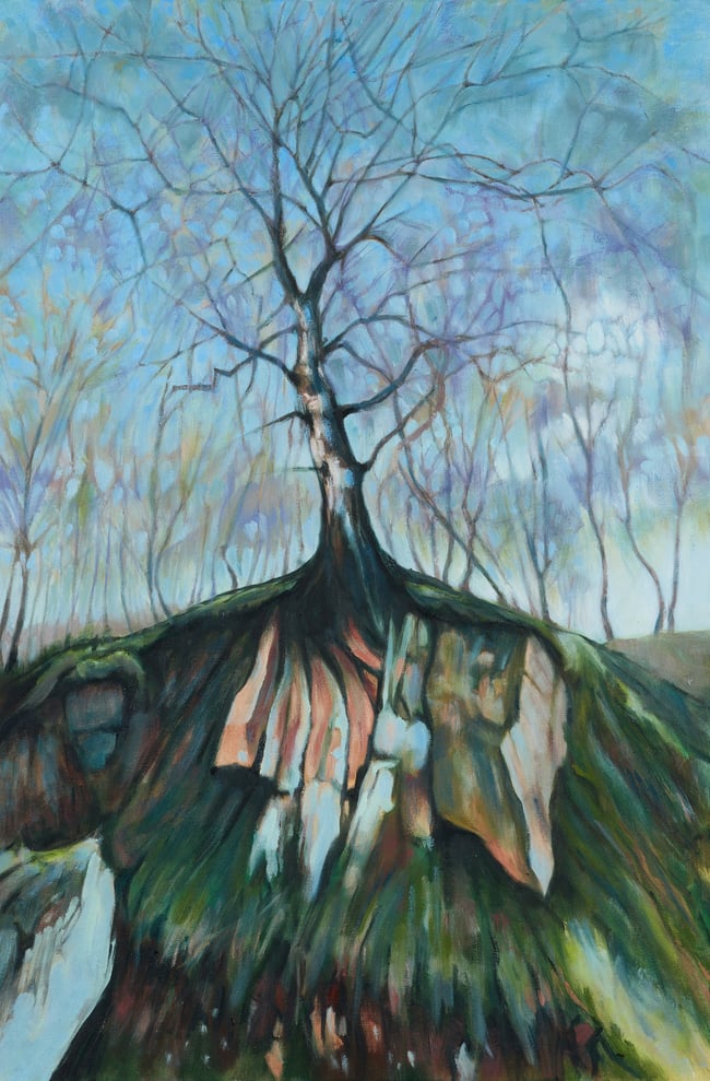 Silver Birch Lawrencefield