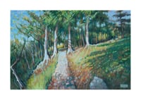 Glicee Print - Path Up Padley Gorge