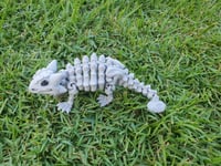 Image 2 of Skeleton Ankylosaurus