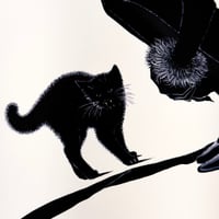 Image 3 of  Black Cat B