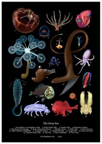 Image 1 of Creatures of the Deep Sea Poster Fine Art Print