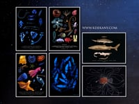 Image 3 of Creatures of the Deep Sea Poster Fine Art Print