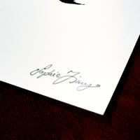Image 4 of Black Cat  F