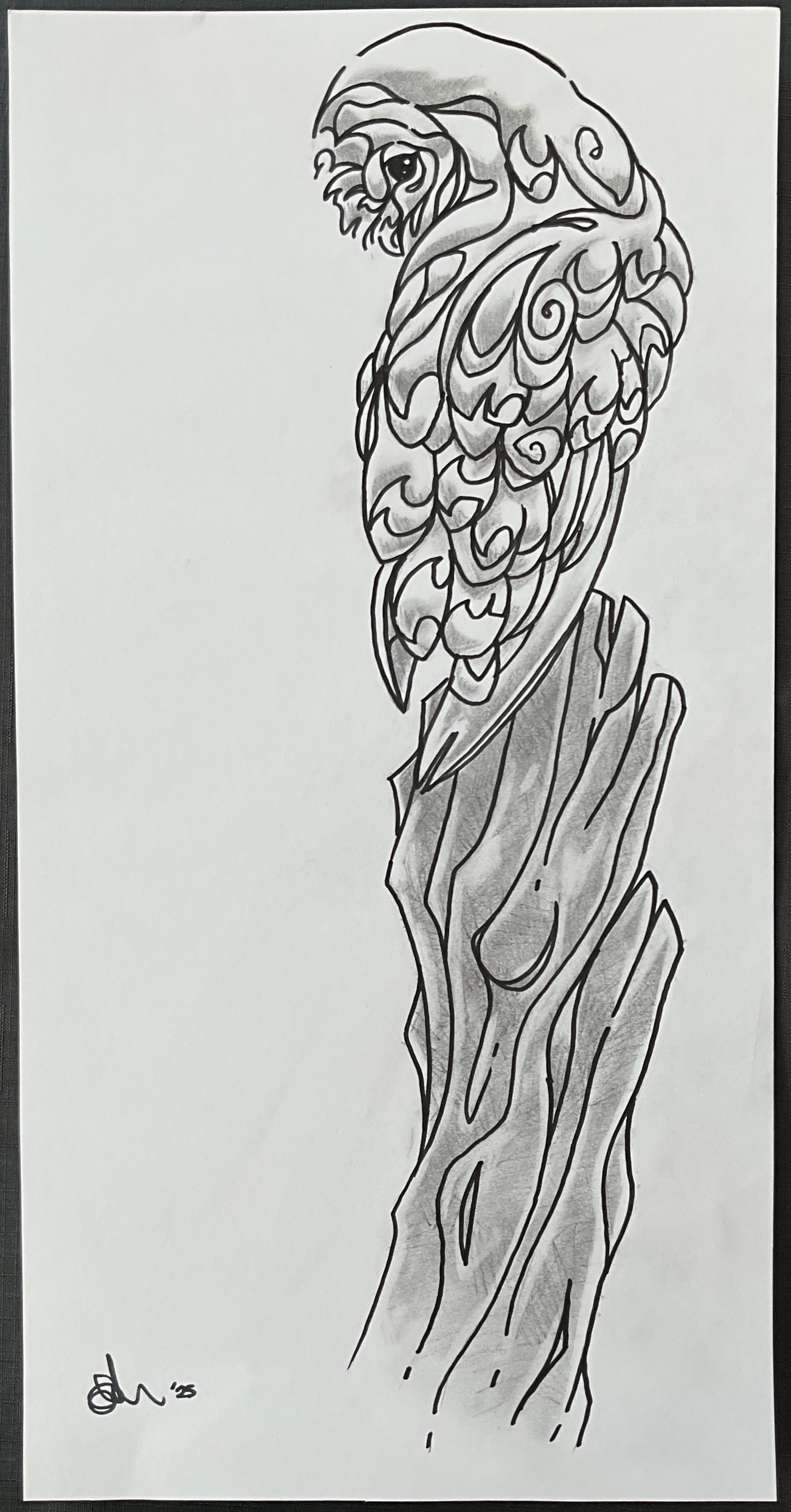 Image of BARN OWL - ORIGINAL ART - ACRYLIC AND GRAPHITE
