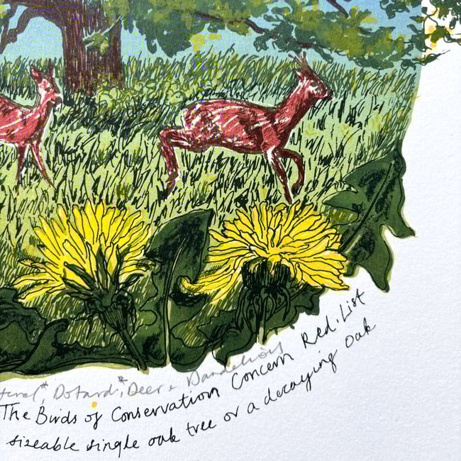 The Great Outdoors A to Z - D