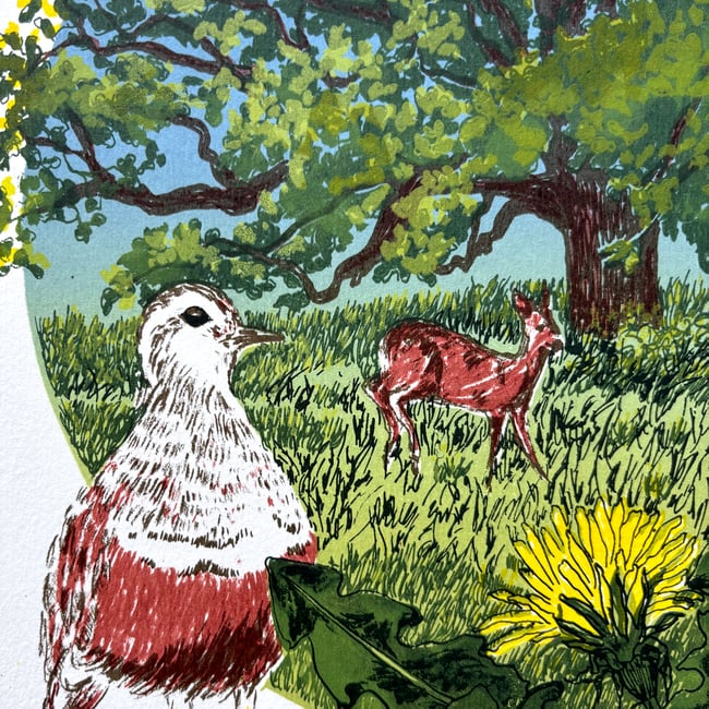 The Great Outdoors A to Z - D