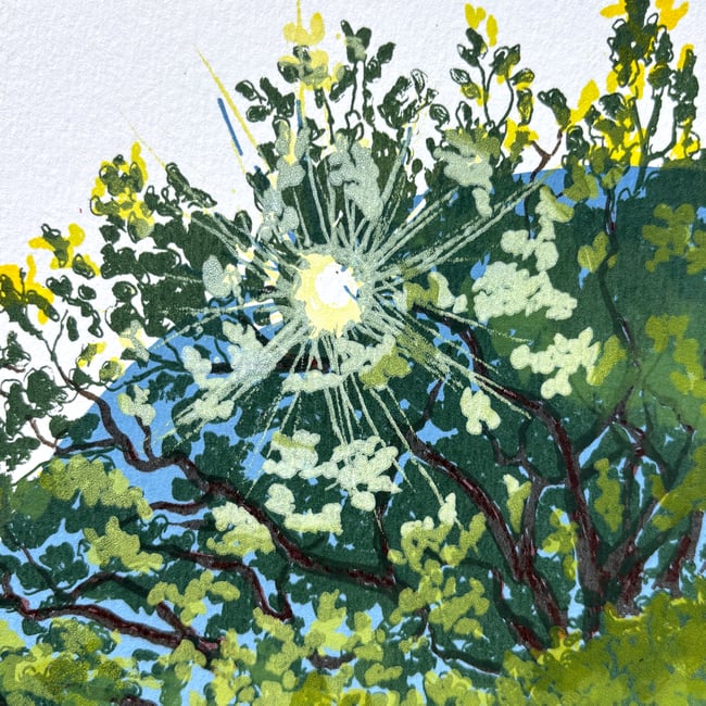 The Great Outdoors A to Z - D