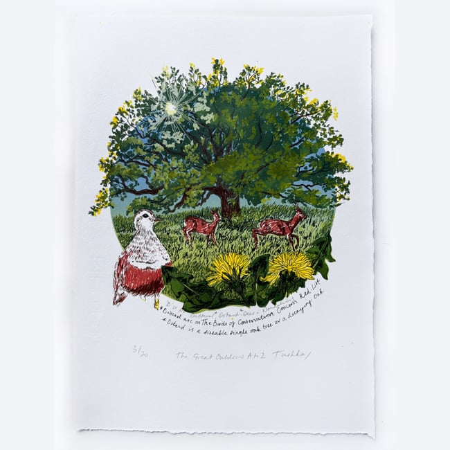 The Great Outdoors A to Z - D