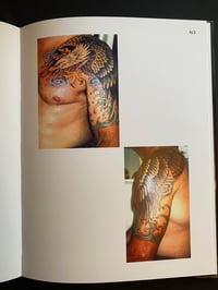 Image 4 of Bull’s- Eyes & Black Eyes