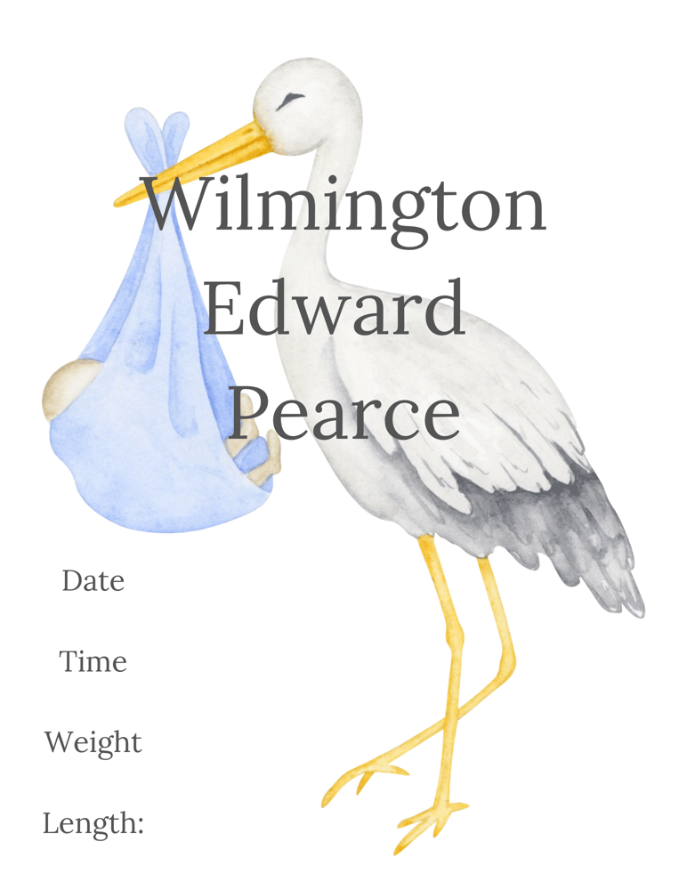Image of Birth Announcement (Blue Color Palette)