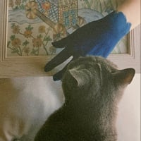 Image 2 of Appi, In Yourtopia CD