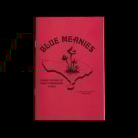 Image 6 of Blue Meanies [Homegrown Zine]