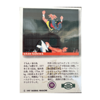 Image 2 of 1997 BBM Pro Wrestling #99 Sports Card
