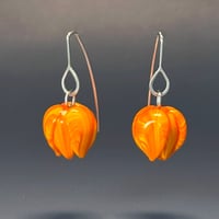 Orange Tulips. Ready to Ship.