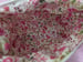 Image of White Kitten Zipper Pouch