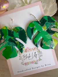 Image 3 of Monstera Dangles