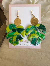 Image 4 of Monstera Dangles