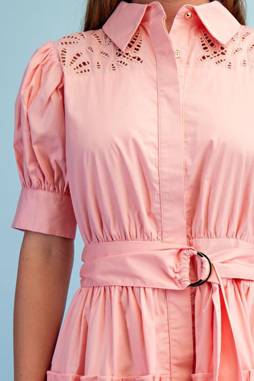 Image of Blush Garden Mini Dress