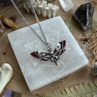 Image 1 of Red Death Moth Steel Necklace