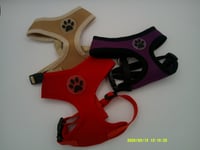 Image 1 of Mesh Harness